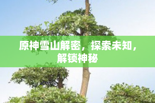 原神雪山解密，探索未知，解锁神秘