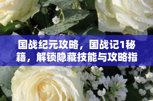 国战纪元攻略，国战记1秘籍，解锁隐藏技能与攻略指南