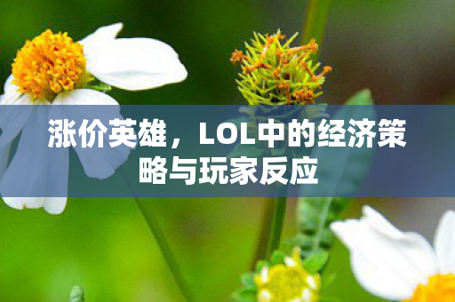 涨价英雄，LOL中的经济策略与玩家反应