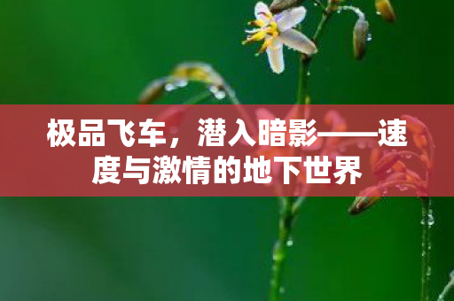 极品飞车，潜入暗影——速度与激情的地下世界