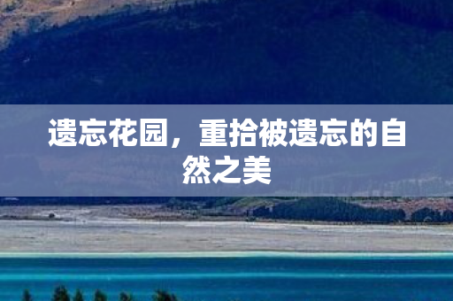 遗忘花园，重拾被遗忘的自然之美