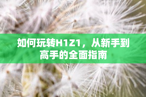 如何玩转H1Z1，从新手到高手的全面指南