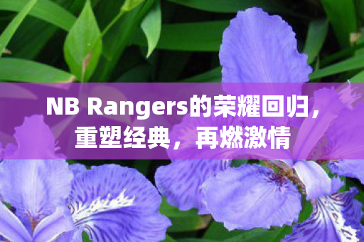 NB Rangers的荣耀回归,重塑经典,再燃激情 NB Rangers的荣耀回归,重塑经典,再燃激情