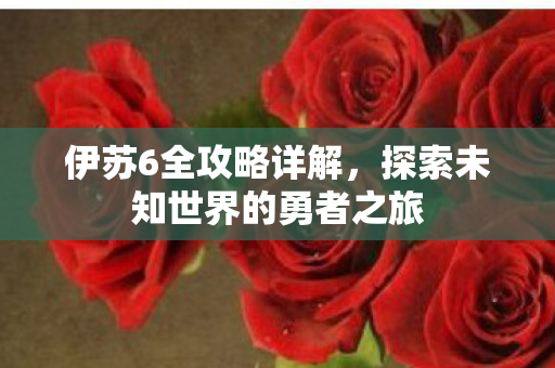 伊苏6全攻略详解，探索未知世界的勇者之旅