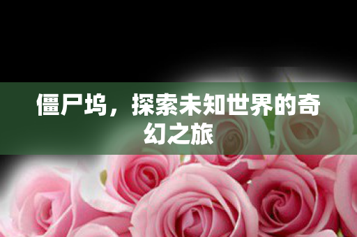 僵尸坞，探索未知世界的奇幻之旅