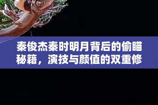 秦俊杰秦时明月背后的偷瞄秘籍，演技与颜值的双重修炼