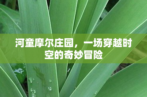 河童摩尔庄园，一场穿越时空的奇妙冒险