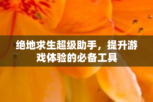 绝地求生超级助手，提升游戏体验的必备工具