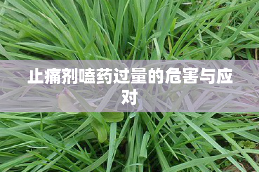 止痛剂嗑药过量的危害与应对
