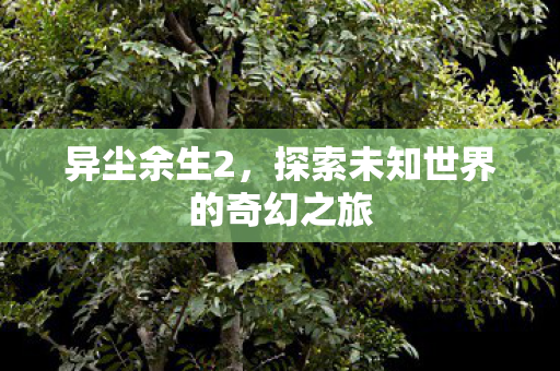异尘余生2，探索未知世界的奇幻之旅