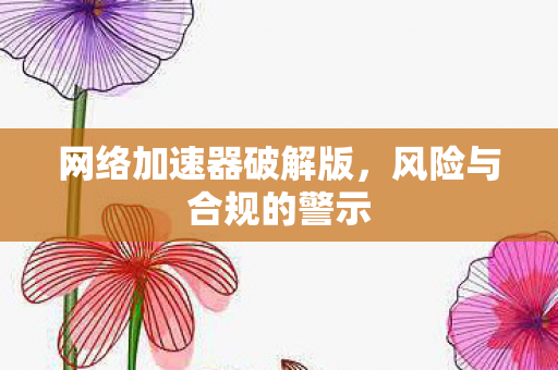 网络加速器破解版，风险与合规的警示