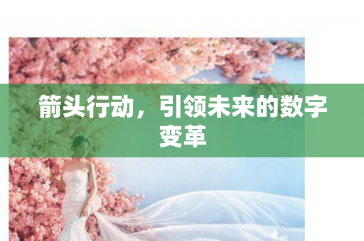 箭头行动，引领未来的数字变革