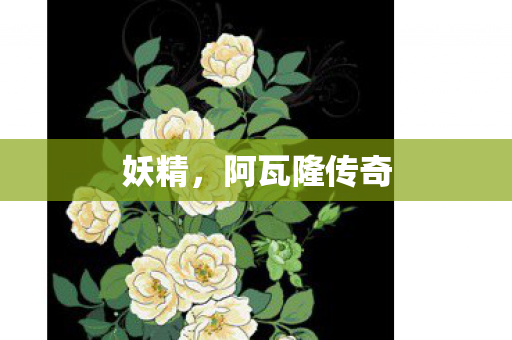 妖精，阿瓦隆传奇