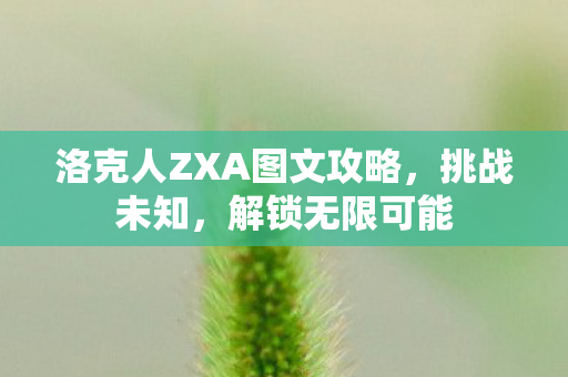 洛克人ZXA图文攻略，挑战未知，解锁无限可能
