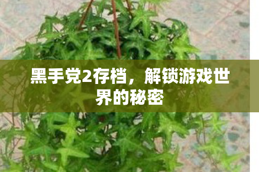 黑手党2存档,解锁游戏世界的秘密 黑手党2存档,解锁游戏世界的秘密