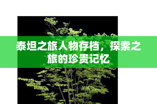 泰坦之旅人物存档，探索之旅的珍贵记忆