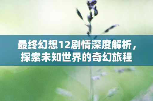 最终幻想12剧情深度解析，探索未知世界的奇幻旅程