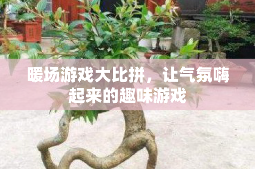 暖场游戏大比拼，让气氛嗨起来的趣味游戏