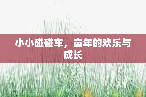 小小碰碰车，童年的欢乐与成长