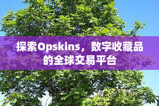 探索Opskins，数字收藏品的全球交易平台