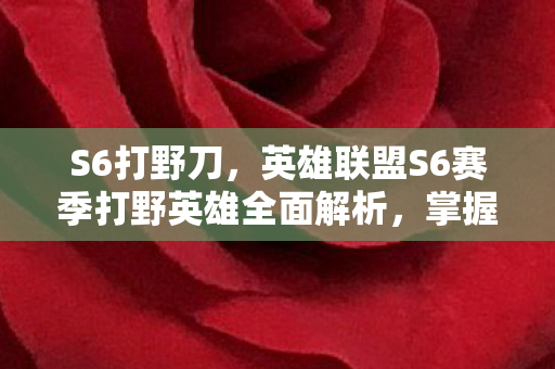 S6打野刀，英雄联盟S6赛季打野英雄全面解析，掌握节奏，引领胜利之门