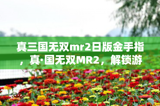 真三国无双mr2日版金手指，真·国无双MR2，解锁游戏潜能的金手指秘籍