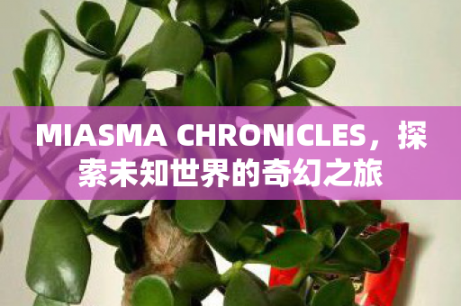 MIASMA CHRONICLES，探索未知世界的奇幻之旅