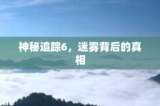 神秘追踪6，迷雾背后的真相