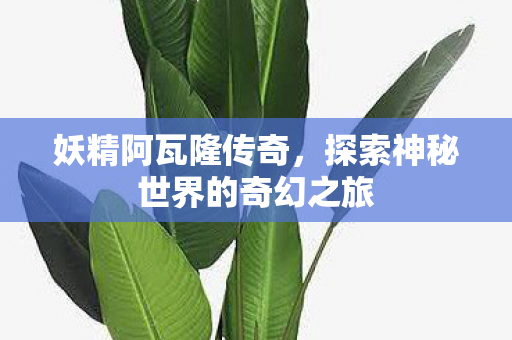 妖精阿瓦隆传奇，探索神秘世界的奇幻之旅