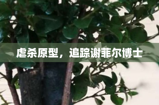 虐杀原型，追踪谢菲尔博士