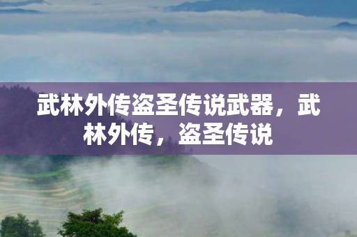 武林外传盗圣传说武器，武林外传，盗圣传说