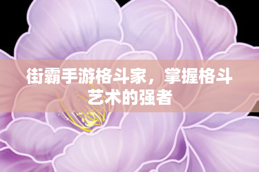 街霸手游格斗家，掌握格斗艺术的强者