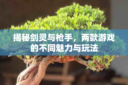 揭秘剑灵与枪手，两款游戏的不同魅力与玩法