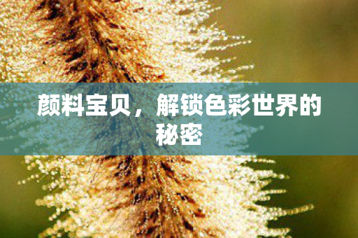 颜料宝贝，解锁色彩世界的秘密