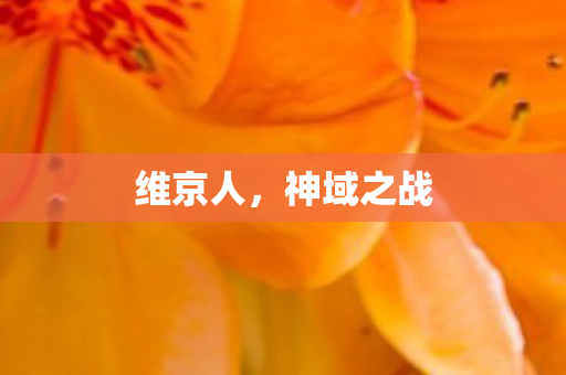 维京人,神域之战 维京人,神域之战