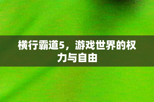 横行霸道5，游戏世界的权力与自由