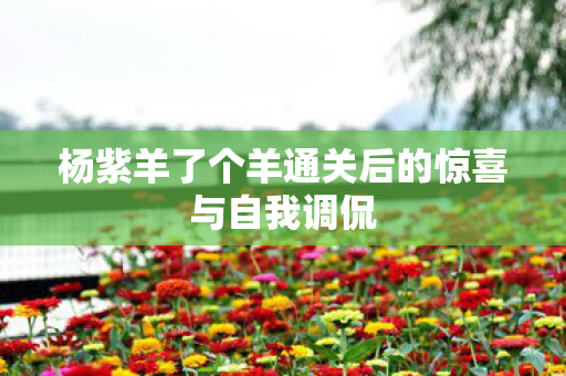 杨紫羊了个羊通关后的惊喜与自我调侃