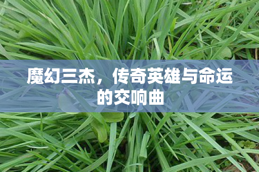 魔幻三杰，传奇英雄与命运的交响曲