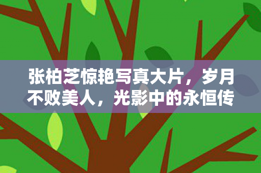 张柏芝惊艳写真大片，岁月不败美人，光影中的永恒传奇