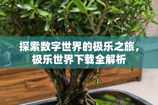 探索数字世界的极乐之旅，极乐世界下载全解析
