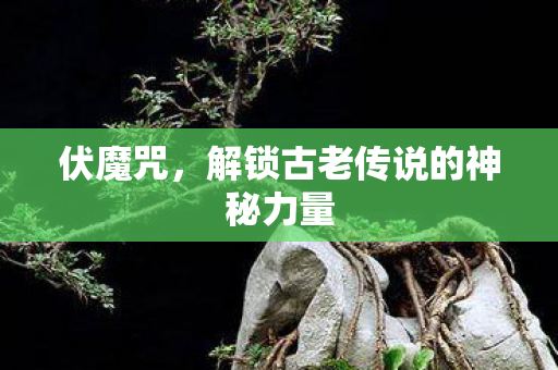 伏魔咒,解锁古老传说的神秘力量 伏魔咒,解锁古老传说的神秘力量