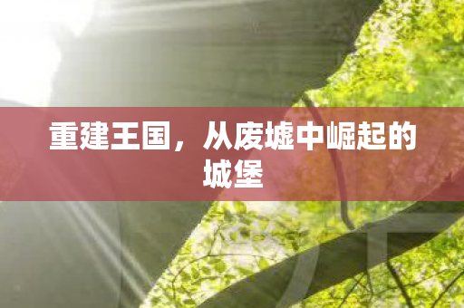 重建王国，从废墟中崛起的城堡