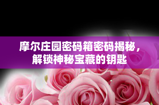摩尔庄园密码箱密码揭秘，解锁神秘宝藏的钥匙