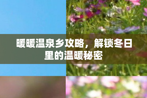 暖暖温泉乡攻略，解锁冬日里的温暖秘密