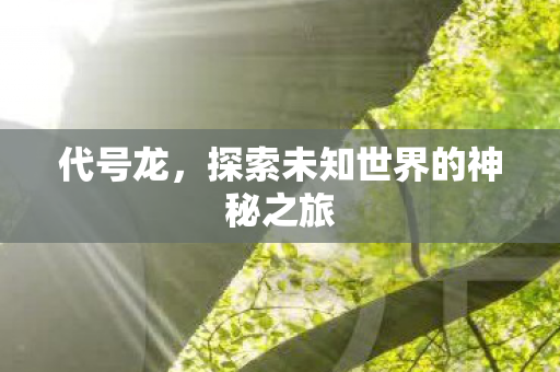 代号龙，探索未知世界的神秘之旅