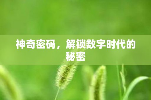 神奇密码,解锁数字时代的秘密 神奇密码,解锁数字时代的秘密