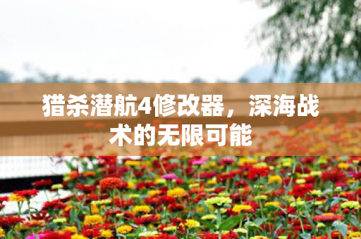 猎杀潜航4修改器，深海战术的无限可能