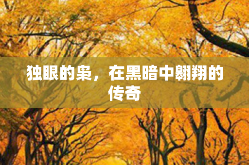 独眼的枭，在黑暗中翱翔的传奇