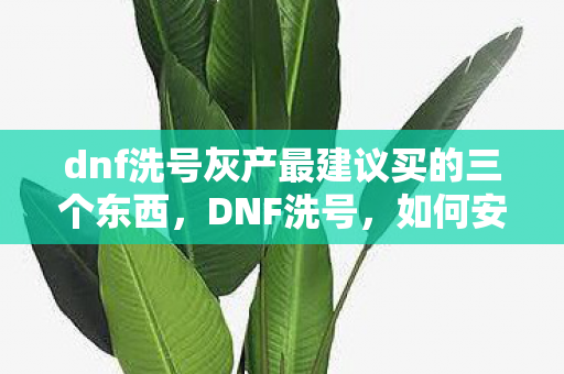 dnf洗号灰产最建议买的三个东西,DNF洗号,如何安全有效地进行角色重置 dnf洗号灰产最建议买的三个东西,DNF洗号,如何安全有效地进行角色重置