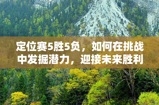 定位赛5胜5负，如何在挑战中发掘潜力，迎接未来胜利